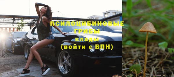 дживик Арсеньев
