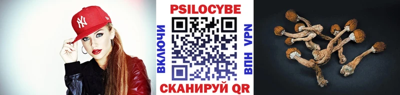 даркнет наркотические препараты  закладки  Покачи  Галлюциногенные грибы MAGIC MUSHROOMS 